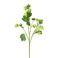 Barbara, Humle, Grøn, H 77 cm-Barbara-Minlillebutik.dk