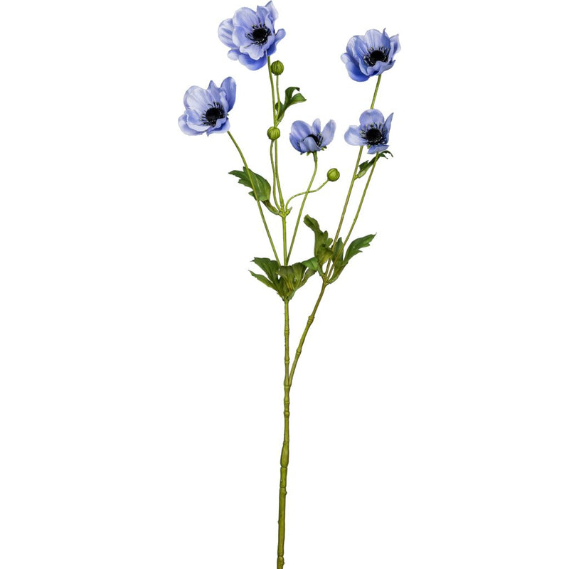 Barbara, Anemone, Purple H 81 cm-Barbara-Minlillebutik.dk