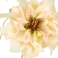 Barbara, Julerose, Creme m/guld, 66 cm-Barbara-Minlillebutik.dk