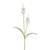 Barbara, Lysimachia, Hvid, h 63 cm-Barbara-Minlillebutik.dk