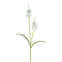 Barbara, Lysimachia, Hvid, h 63 cm-Barbara-Minlillebutik.dk