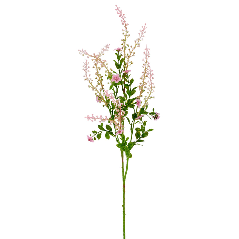 Barbara, Phytolacca, Rosa H 72 cm-Barbara-Minlillebutik.dk