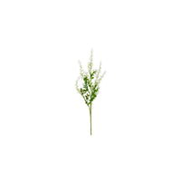 Barbara, Phytolacca, Hvid H 72 cm-Barbara-Minlillebutik.dk
