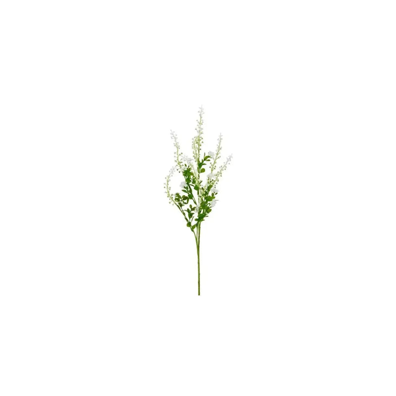 Barbara, Phytolacca, Hvid H 72 cm-Barbara-Minlillebutik.dk