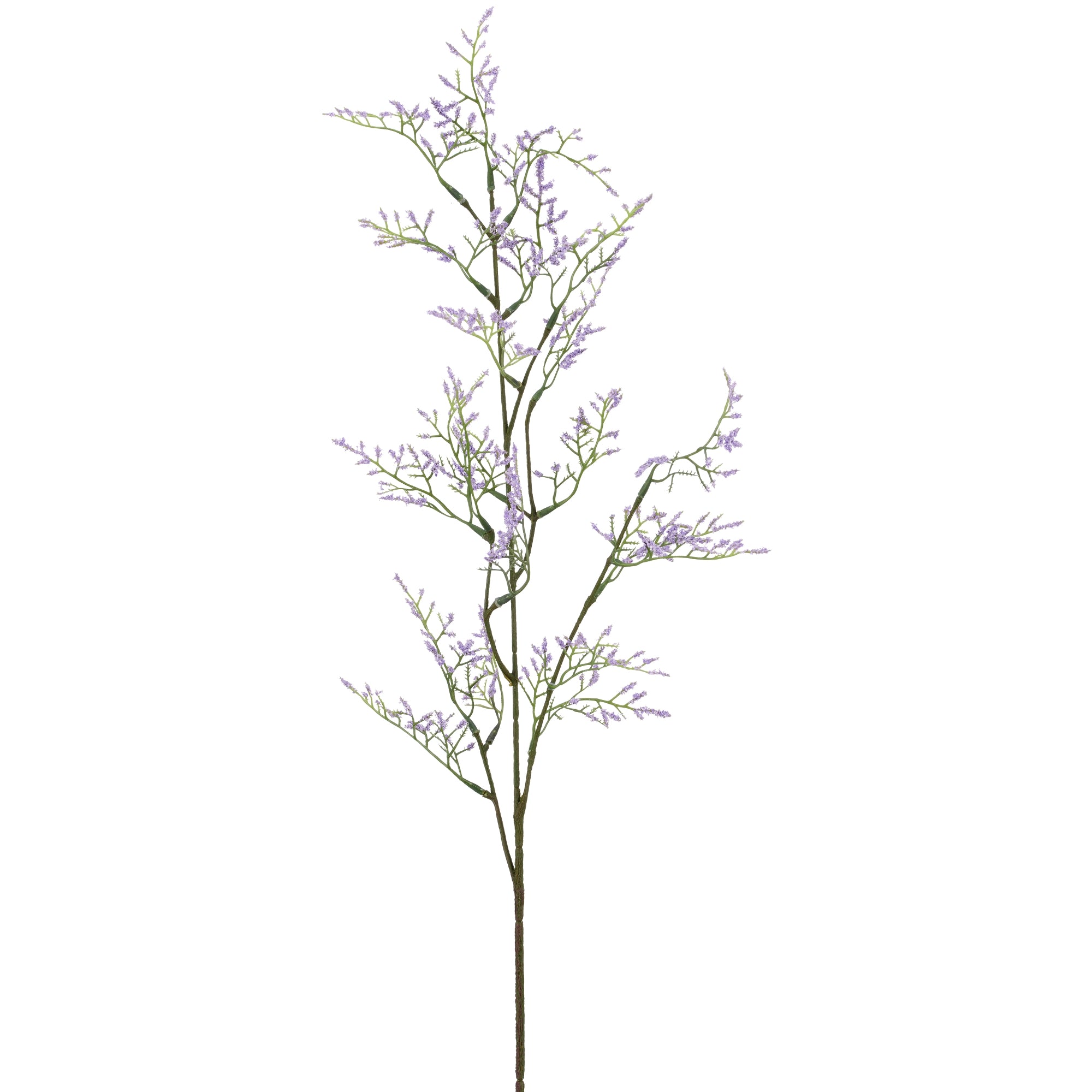 Barbara, Limonium gren, Lys lilla H 83 cm-Barbara-Minlillebutik.dk