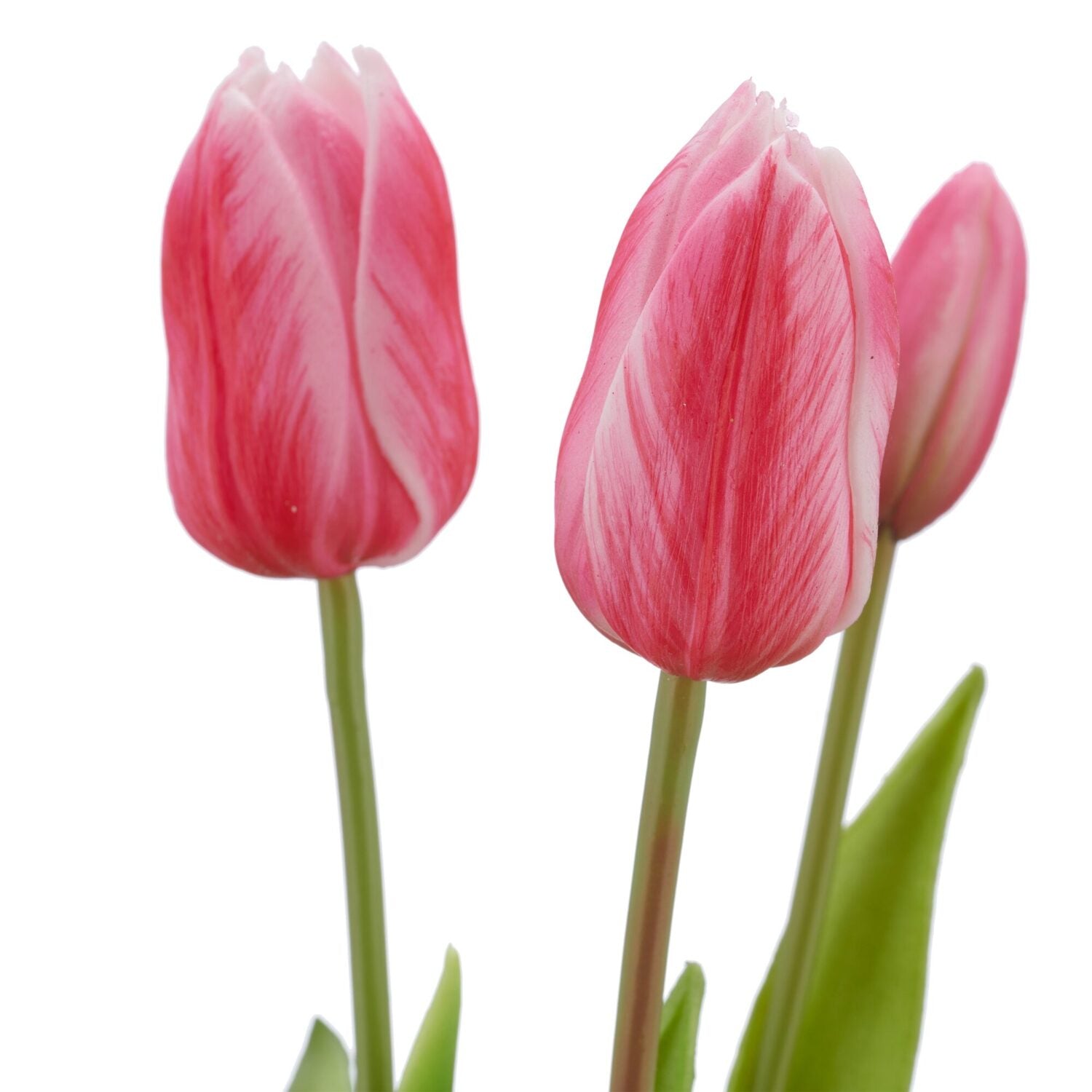 Barbara, Tulipaner, Pink, H 41 cm-Barbara-Minlillebutik.dk