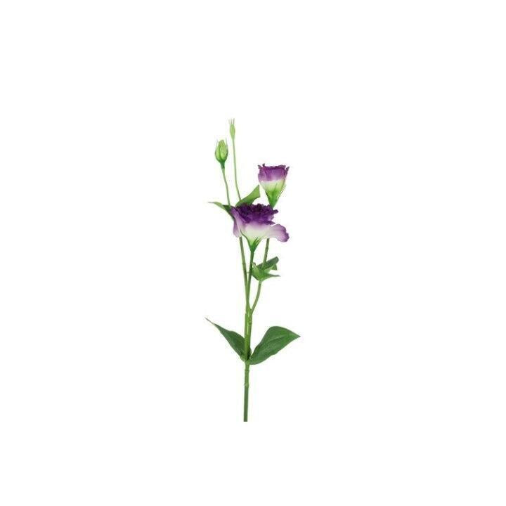 Barbara, Lisianthus, Lilla H 67 cm-Barbara-Minlillebutik.dk