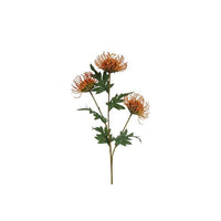 Barbara, Protea, Orange, H 71 cm-Barbara-Minlillebutik.dk