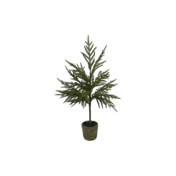 Barbara, Juletræ opstammet i potte, 74 cm-Barbara-Minlillebutik.dk