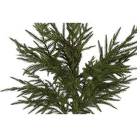 Barbara, Juletræ opstammet i potte, 74 cm-Barbara-Minlillebutik.dk