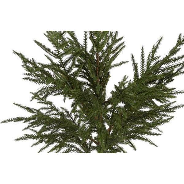 Barbara, Juletræ opstammet i potte, 74 cm-Barbara-Minlillebutik.dk