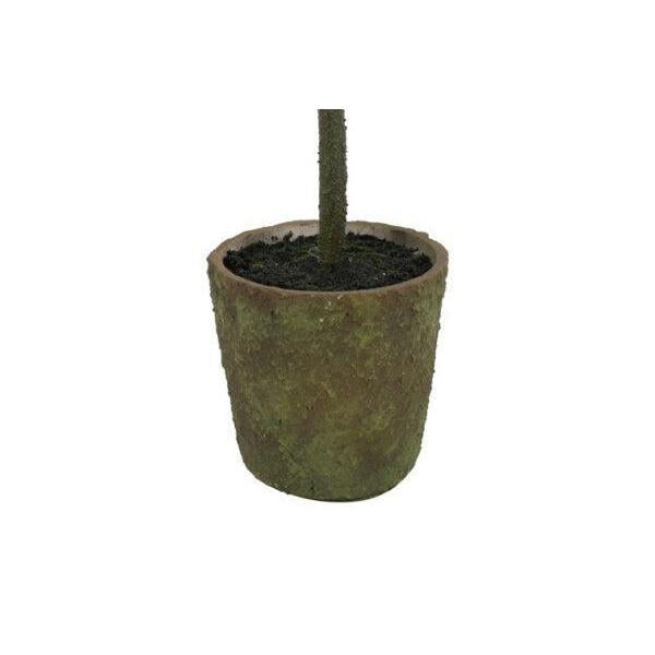 Barbara, Juletræ opstammet i potte, 74 cm-Barbara-Minlillebutik.dk