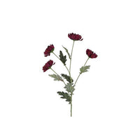 Barbara, Chrysanthemum, Purple, H 83 cm-Barbara-Minlillebutik.dk