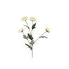 Barbara, Chrysanthemum, Creme, H 83 cm-Barbara-Minlillebutik.dk