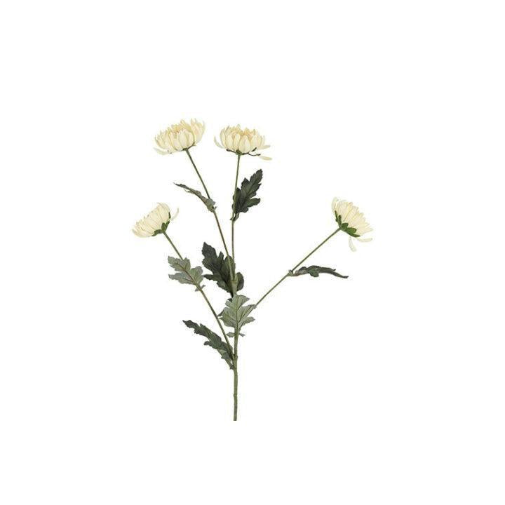 Barbara, Chrysanthemum, Creme, H 83 cm-Barbara-Minlillebutik.dk