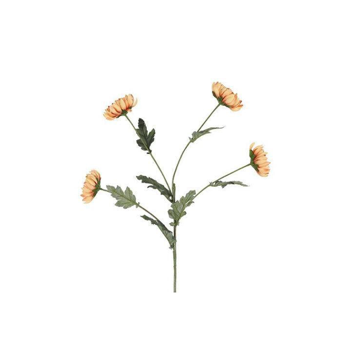 Barbara, Chrysanthemum, Karmel, H 83 cm-Barbara-Minlillebutik.dk