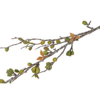 Barbara, Eucalyptus Corymbia, Grøn, H 77 cm-Barbara-Minlillebutik.dk