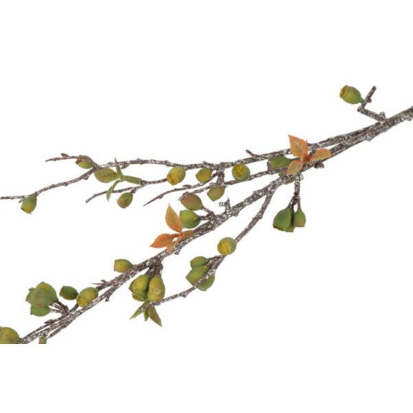 Barbara, Eucalyptus Corymbia, Grøn, H 77 cm-Barbara-Minlillebutik.dk