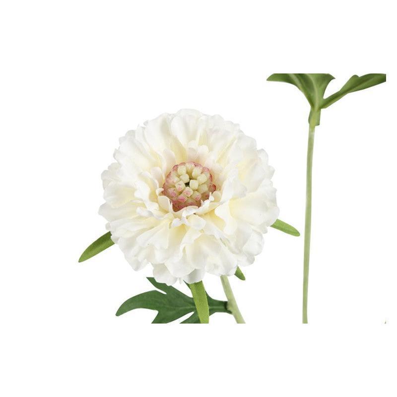 Barbara, Scabiosa, Hvid H 72 cm-Barbara-Minlillebutik.dk