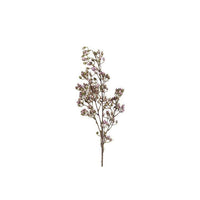 Barbara, Conyza, Purple H 78 cm-Barbara-Minlillebutik.dk