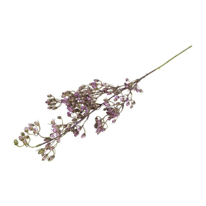 Barbara, Conyza, Purple H 78 cm-Barbara-Minlillebutik.dk