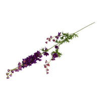Barbara, Ridderspore, Purple H 90 cm-Barbara-Minlillebutik.dk