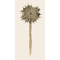 Ib Laursen, Serviet, Solsikke i forfald-Ib Laursen-Minlillebutik.dk