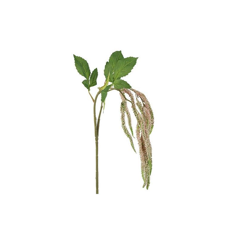 Barbara, Amaranthus lys rosa h 91 cm