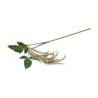 Barbara, Amaranthus lys rosa h 91 cm