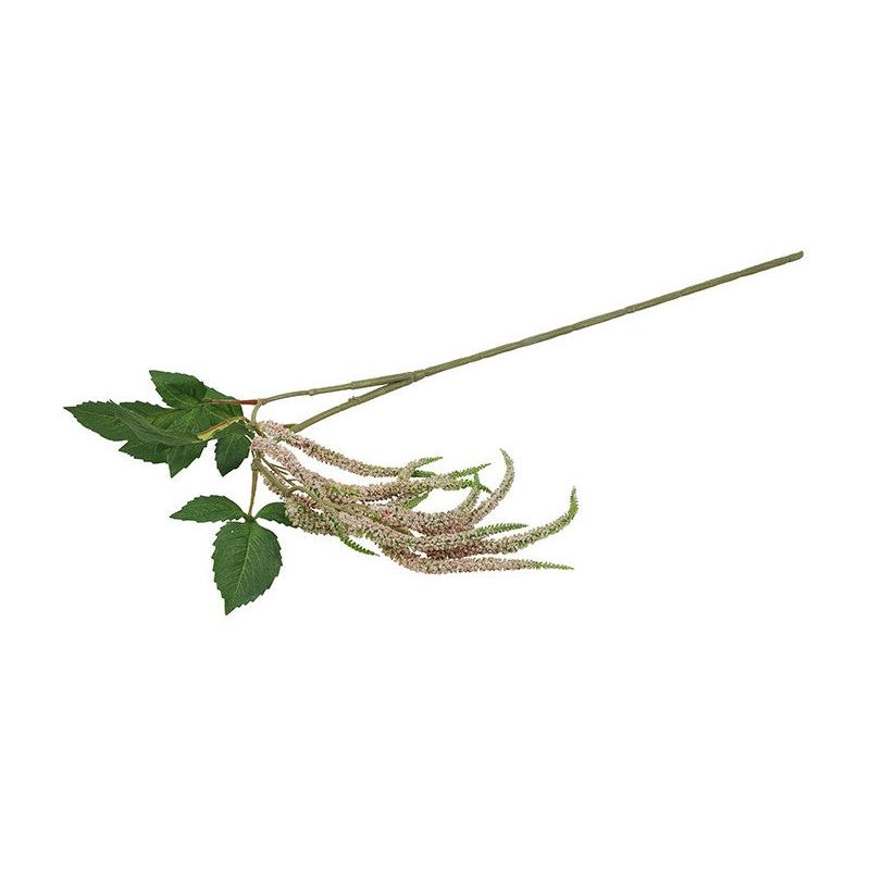 Barbara, Amaranthus lys rosa h 91 cm