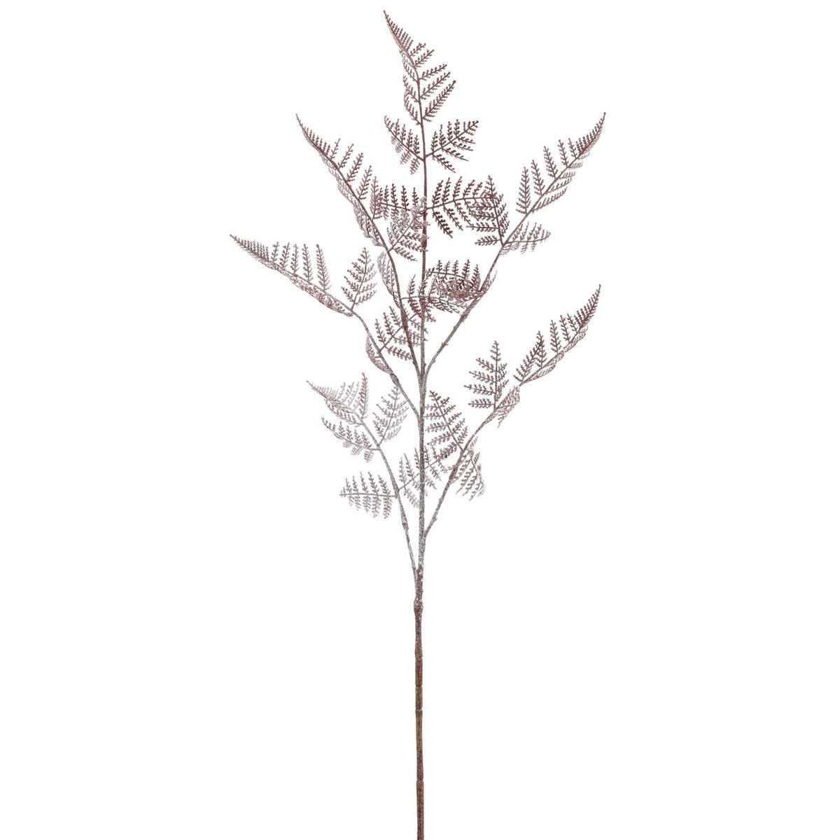 Barbara, Asparagus lys bordeaux h 90 cm