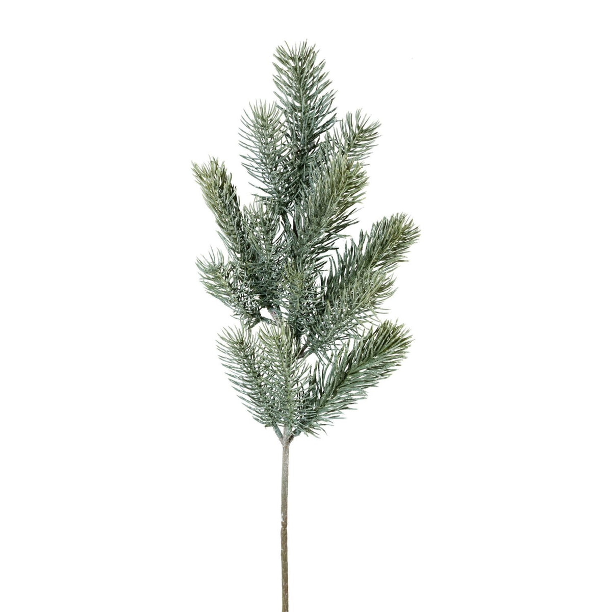 Barbara, Blågran gren h 50 cm