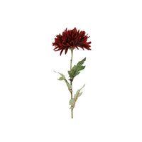 Barbara, Chrysanthemum bordeaux h 68 cm