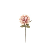 Barbara, Dahlia lys rosa h 57 cm