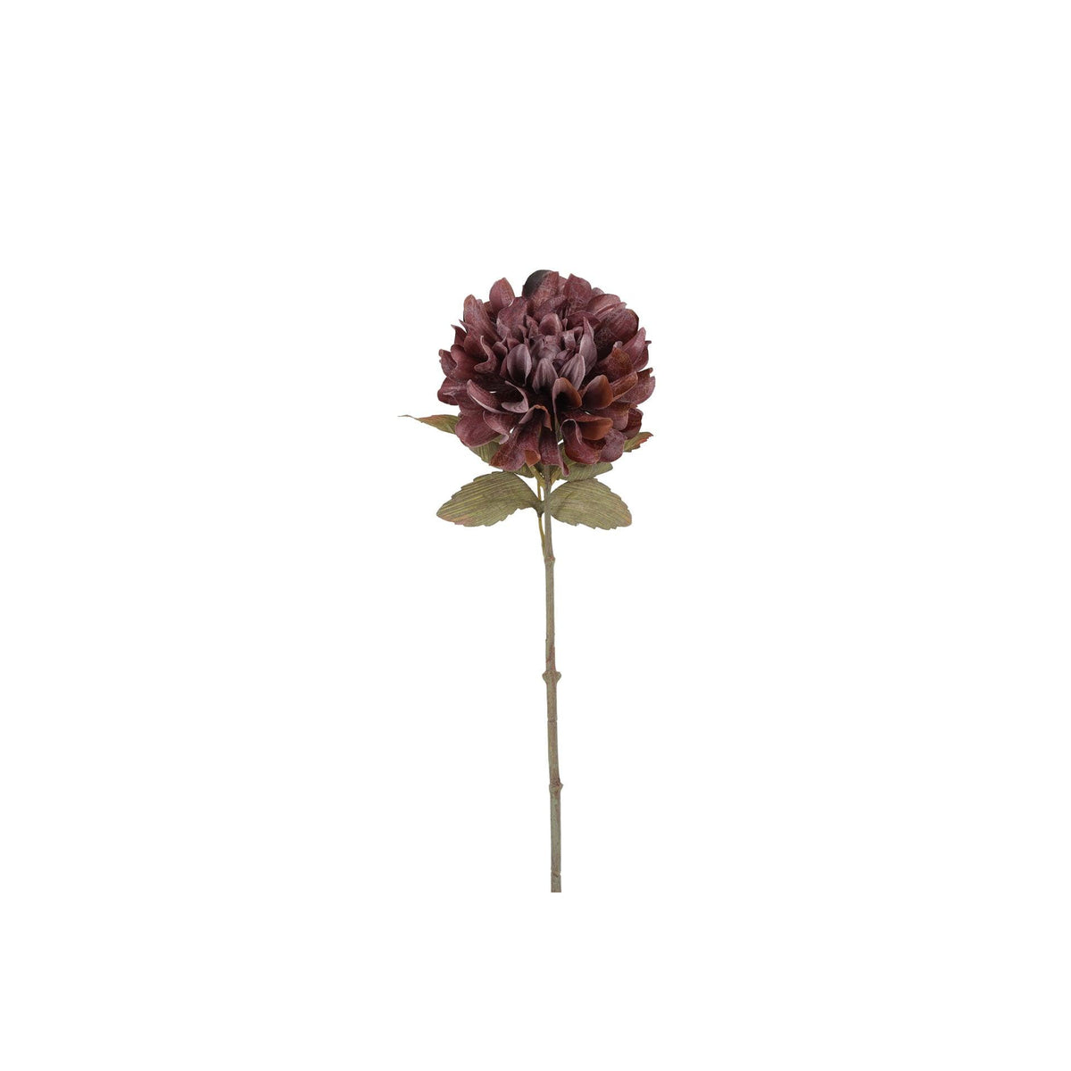 Barbara, Dahlia purple h 57 cm