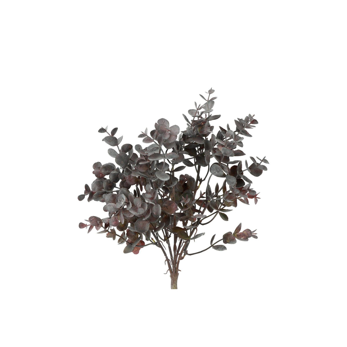 Barbara, Eucalyptus buket purple h 33 cm