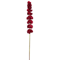 Barbara, Molucella bordeaux h 78 cm