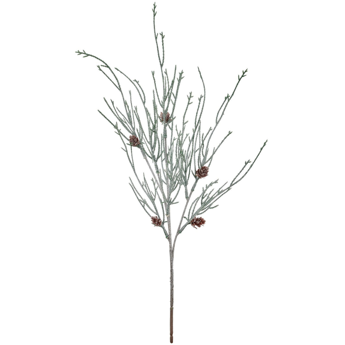 Barbara, Nåletræsgren med kogler, frostet, h 58 cm