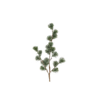 Barbara, Ceder gran støvet grøn h 78 cm