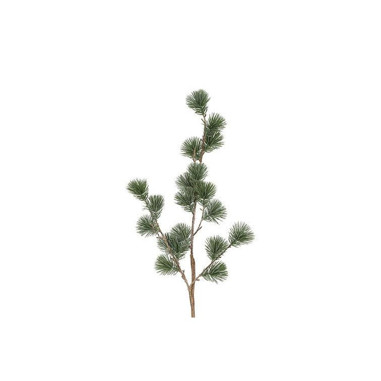 Barbara, Ceder gran støvet grøn h 78 cm