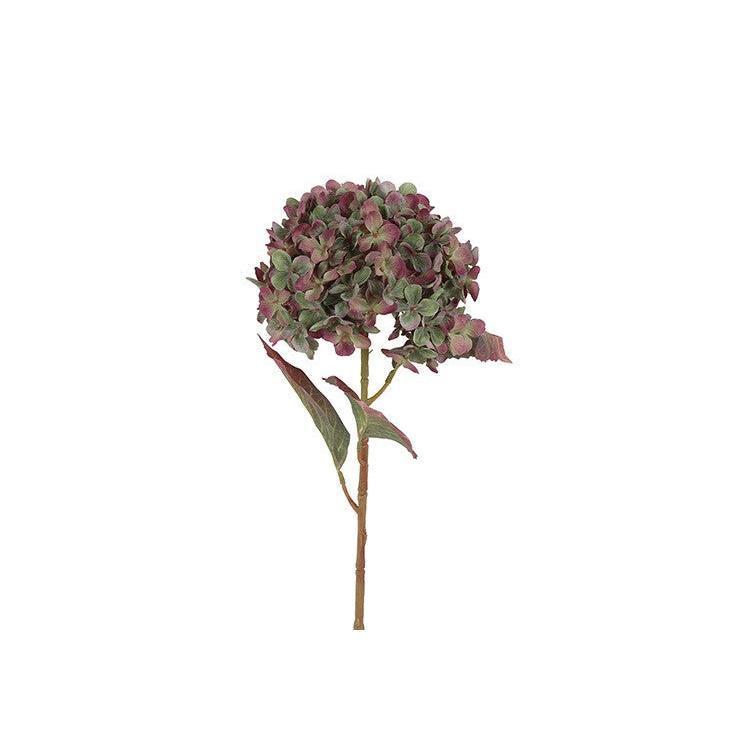 Barbara, Hortensia, Grøn/Lilla, H 70 cm-Barbara-Minlillebutik.dk