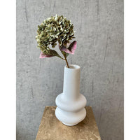 Barbara, Hortensia, Grøn, H70 cm-Barbara-Minlillebutik.dk