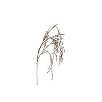 Barbara, Hænge Salix, Brun, H132 cm-Barbara-Minlillebutik.dk