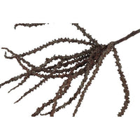 Barbara, Trachycarpus, Brun, H50 cm-Barbara-Minlillebutik.dk