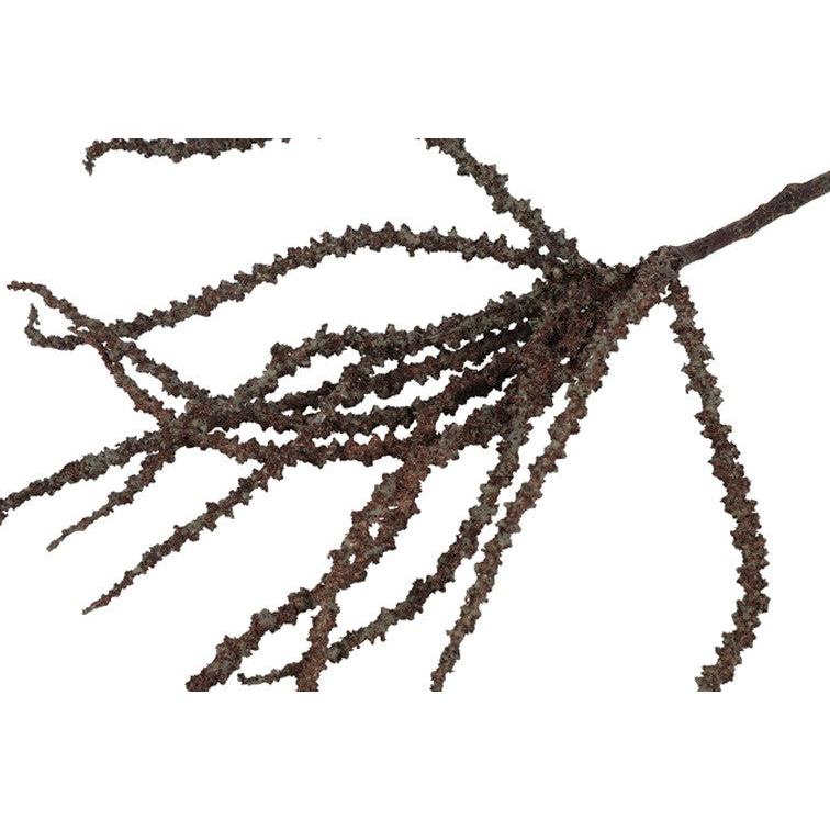 Barbara, Trachycarpus, Brun, H50 cm-Barbara-Minlillebutik.dk