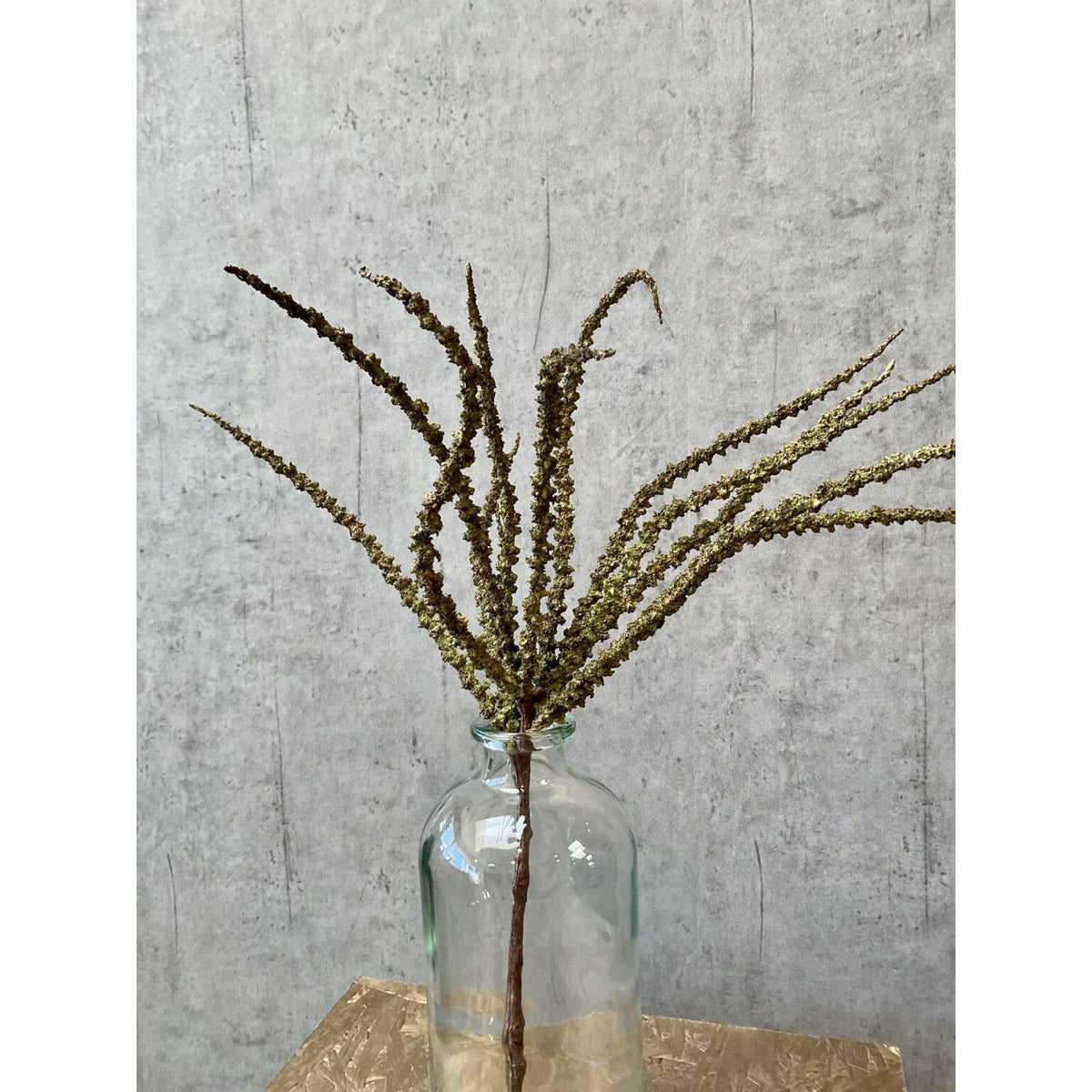 Barbara, Trachycarpus, Brun, H50 cm-Barbara-Minlillebutik.dk