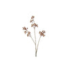 Barbara, Eupatorium, Beige, H81 cm-Barbara-Minlillebutik.dk