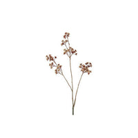 Barbara, Eupatorium, Beige, H81 cm-Barbara-Minlillebutik.dk
