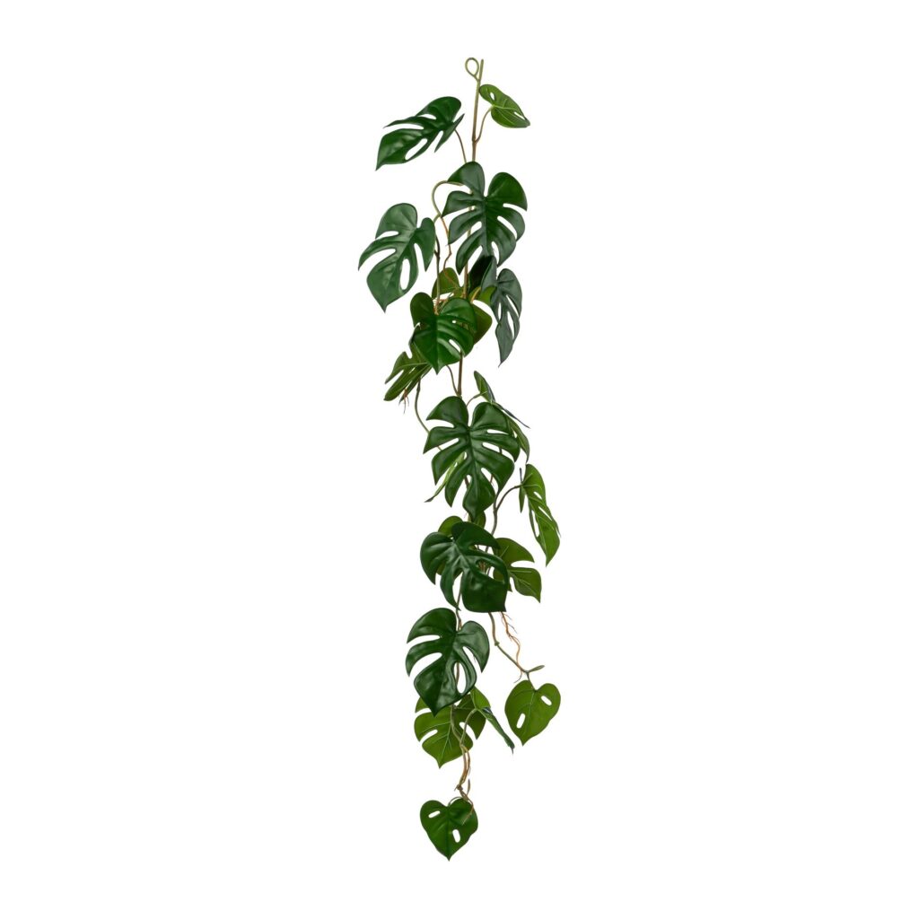 Barbara, Split philo ranke L 104 cm