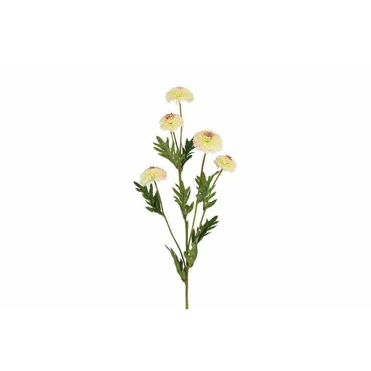 Barbara, Helichrysum, Hvid H 68 cm-Barbara-Minlillebutik.dk